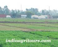 Agri Tours in India