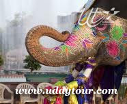 India Tours and Travel